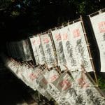 Destination Dupes: Affordable Alternatives to Overcrowded Tourist Hotspots