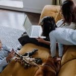 CES 2025’s Most Shoppable Gadgets: From Retractable Power Banks to Pet Tech
