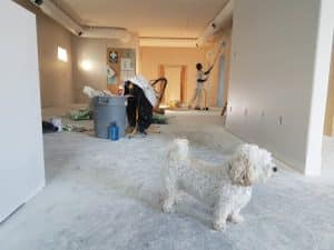 Home Warranty Scams: Repair Denials and Fine Print to Watch