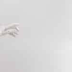 Understanding Advanced Robotics in Vehicle Manufacturing Today