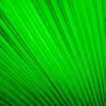 Pistachio Power: From Pasta to Pastry, Green Gold Reigns