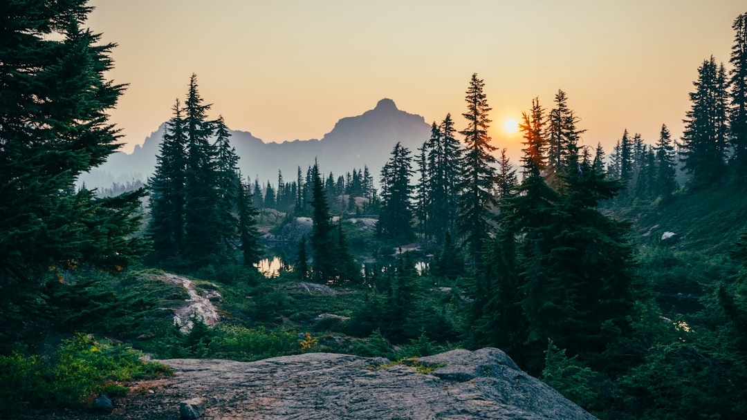 Holistic Wellness Retreats: Yoga, Forest Bathing, and Neurodiverse Stays
