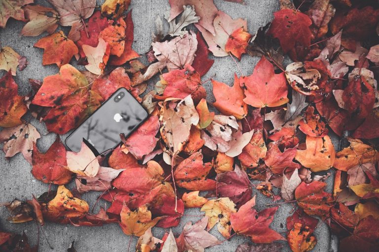 Parental Rights vs. Curriculum: K-12’s Latest Battleground in 10 States