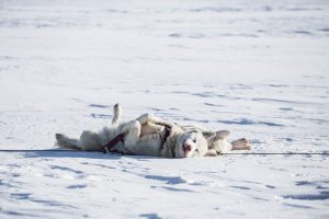 Sleep Tourism: Hotels Prioritizing Rest Over Sightseeing
