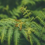 STEM Exodus: Why Humanities Degrees Are Quietly Making a Comeback