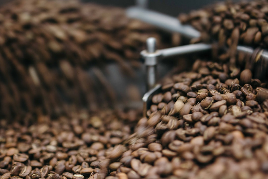 Bold Bean Revolution: Pulses Transform Global Menus