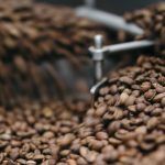 Bold Bean Revolution: Pulses Transform Global Menus