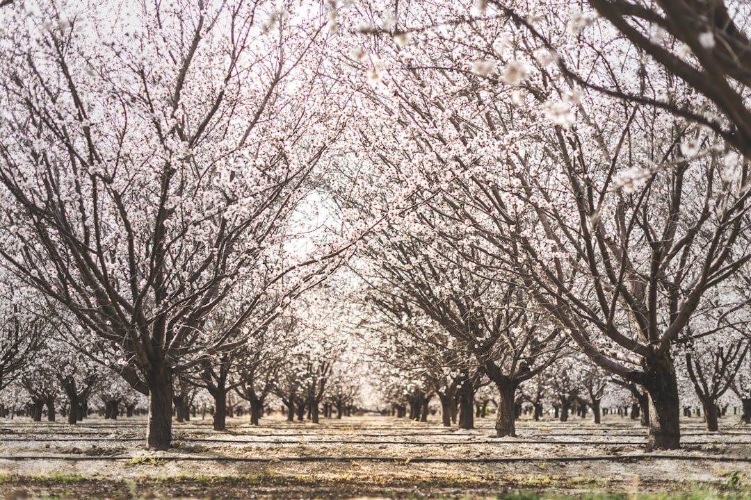 Regenerative Rising: Farming Practices Fueling Political Debates