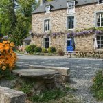 Protein Hacks: Cottage Cheese in Everything