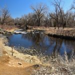 The Rise of "Third Spaces": Coffee Shops and Co-Ops Replacing Traditional Libraries