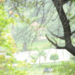 Longevity Retreats: Vacations Designed to Extend Your Lifespan